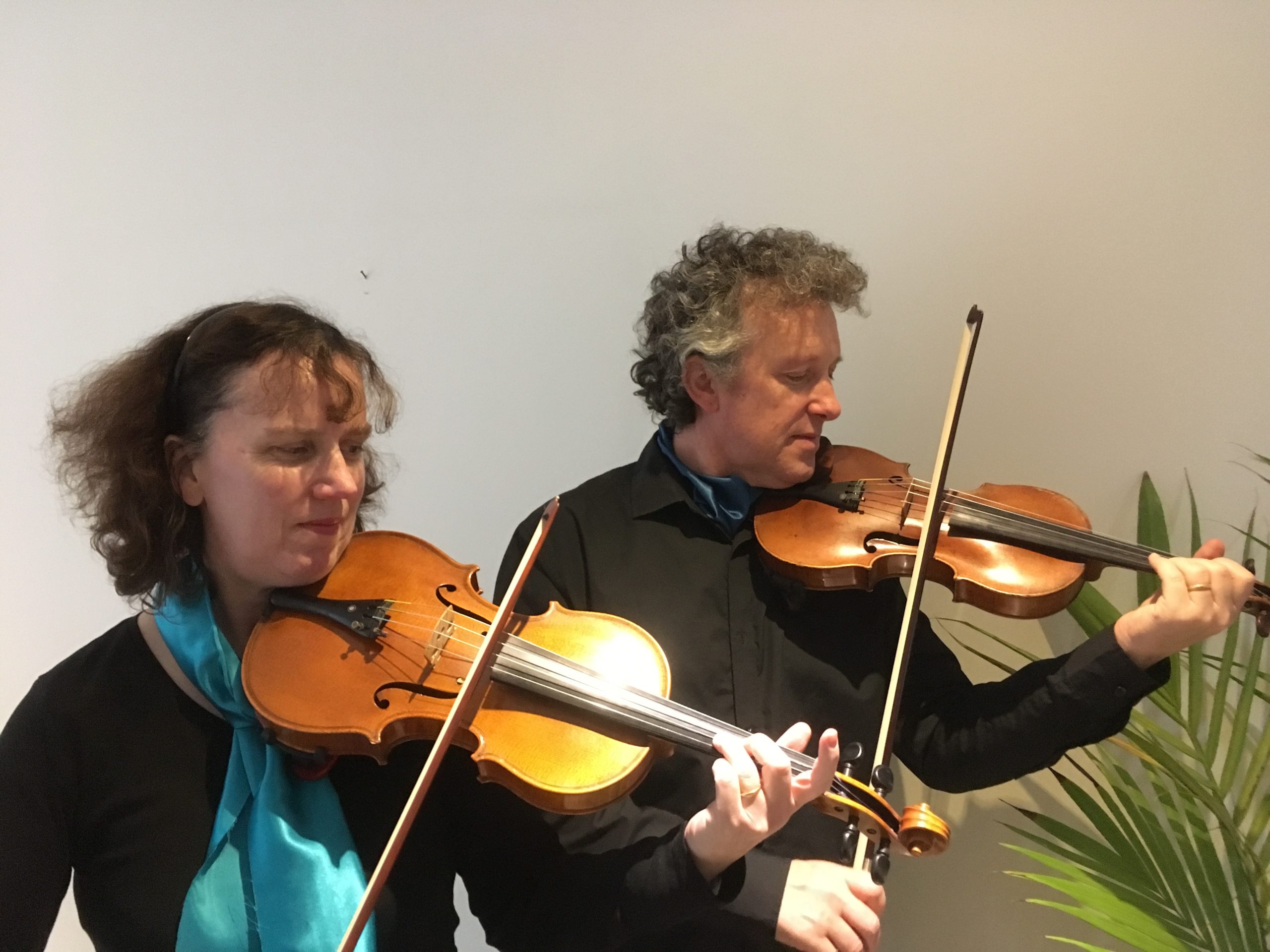 Bonnicis Violin