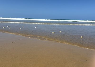 Lorne Beach Memorial