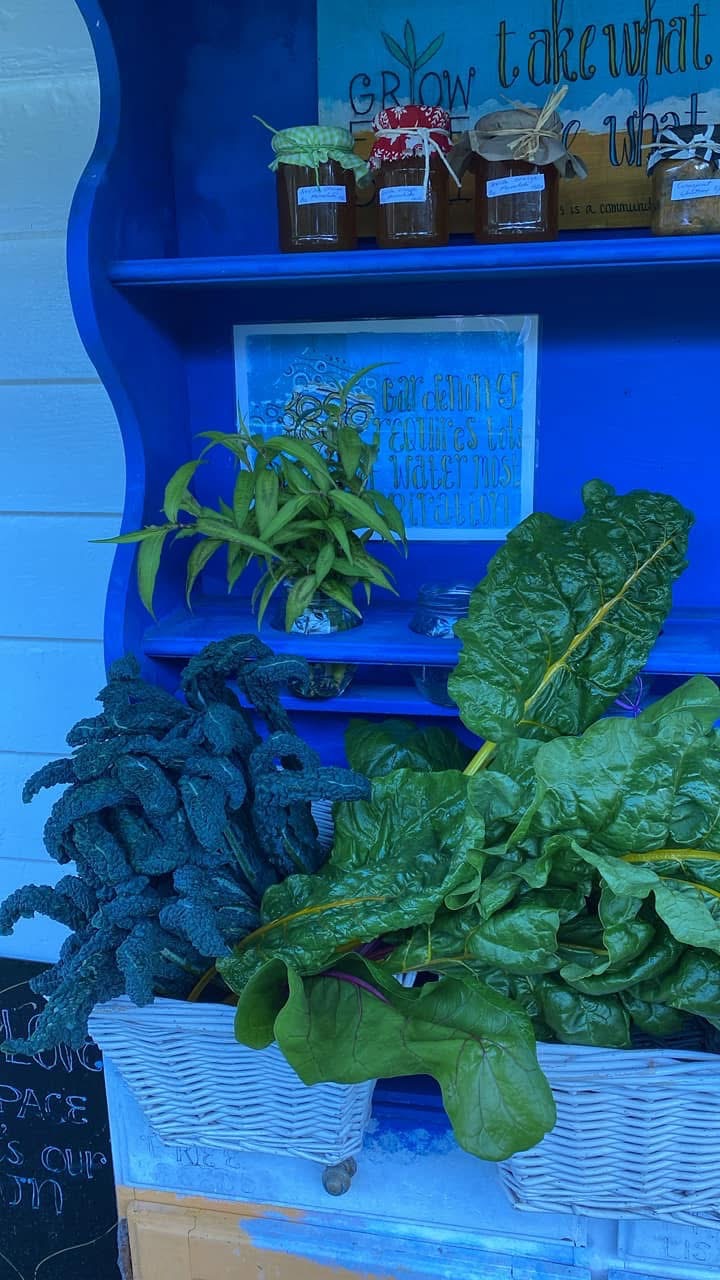 Veges Grow Free Herbs
